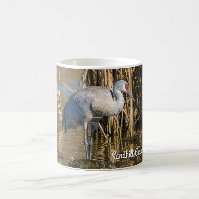 Taza De Café Sandhill Crane (Centro)