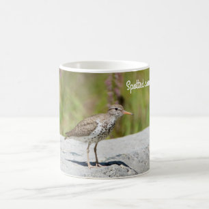 Taza De Café Sandpiper con manchas