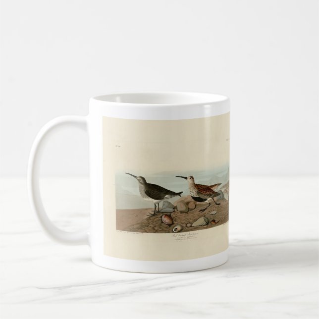 Taza De Café Sandpiper, de respaldo rojo - Los pájaros de Améri (Izquierda)