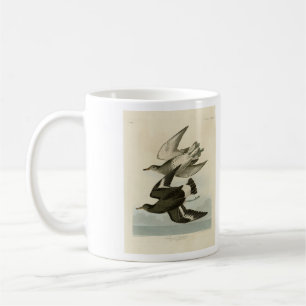 Taza De Café Sandpiper de Townsend - Aves de América de Audubon