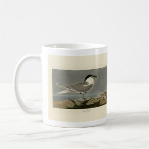 Taza De Café Sandwich (Cabot's) Tern, Audubon Birds of America