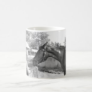 Taza De Café Saratoga 150 listo