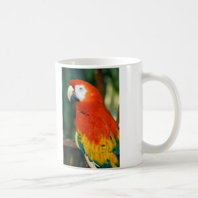 Taza De Café Scarlet Macaw (Derecha)