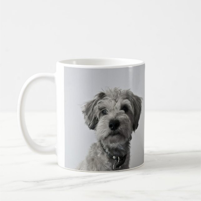 Taza De Café Schnauzer Puppy Portrait Photo (Izquierda)