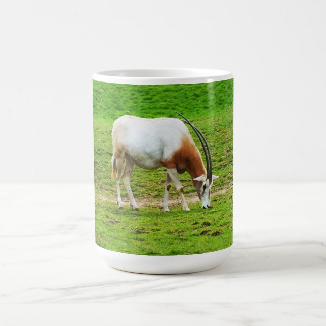Taza De Café Scimitar oryx (Centro)