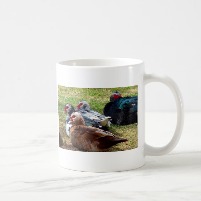Taza De Café Scovies (Derecha)
