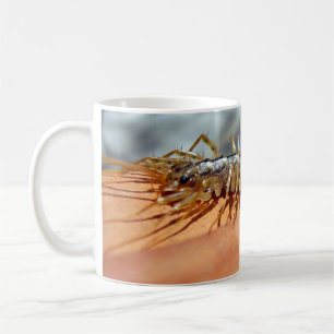 Taza De Café Scutigera Coleoptrata Bug Mug