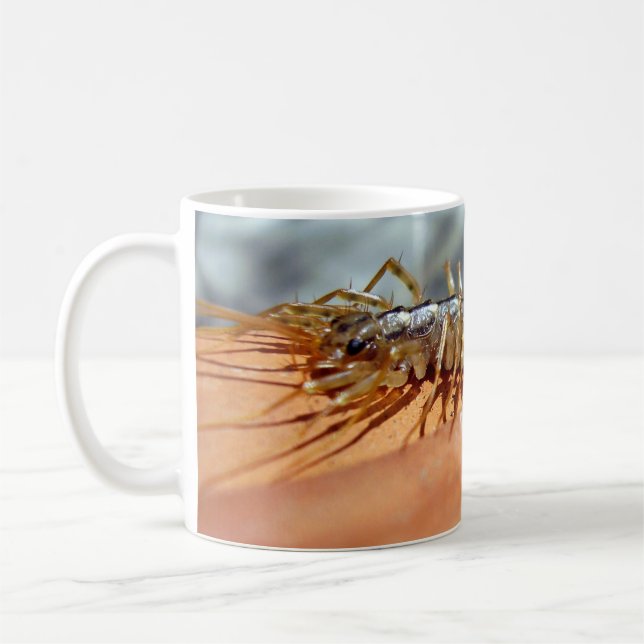 Taza De Café Scutigera Coleoptrata Bug Mug (Izquierda)