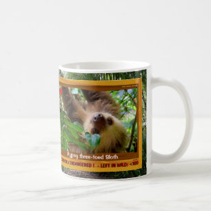 Taza De Café Se pone en peligro la pereza tocada con la punta