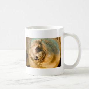 Taza De Café Sealion