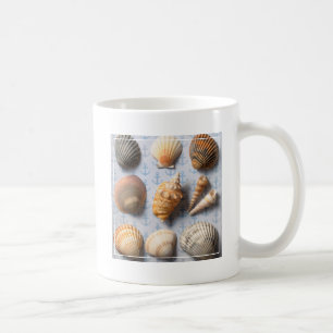 Taza De Café Seashells en el contexto del ancla