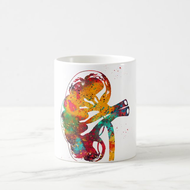 Taza De Café Sección del riñón (Centro)