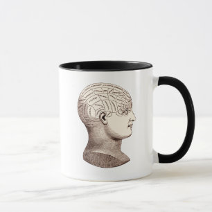 Taza de café seccional del cerebro frenológico d