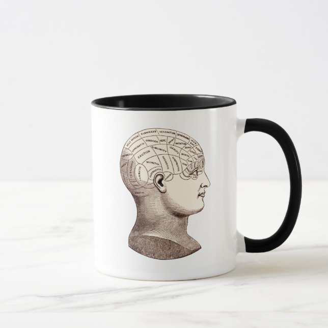 Taza de café seccional del cerebro frenológico del (Derecha)