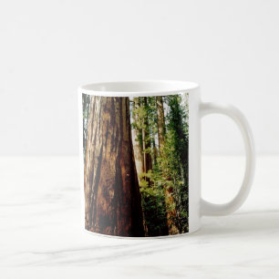 Taza De Café Secoyas de Yosemite