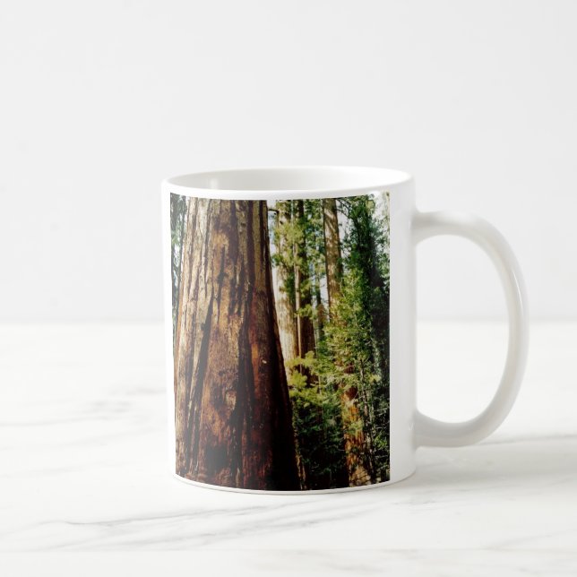 Taza De Café Secoyas de Yosemite (Derecha)