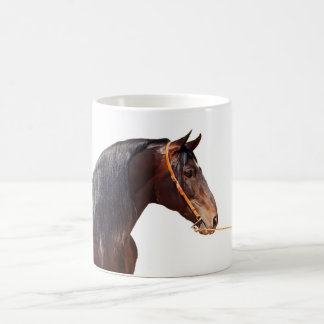 Taza De Café semental andaluz en el blanco