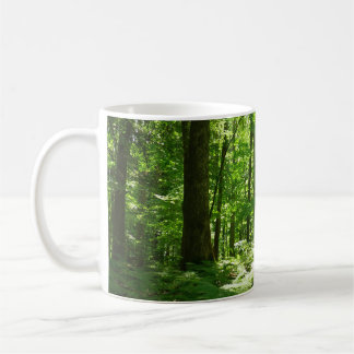 Taza De Café Sendero Hemlock en el Parque Estatal Laurel Hill I