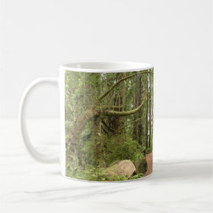 Taza De Café Sendero Karl Knapp