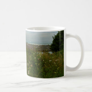 Taza De Café Sendero Yurok Loop en el Parque Nacional Redwood