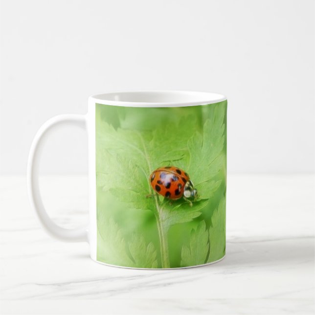 Taza De Café Señora Bug en la hoja de Feverfew (Izquierda)
