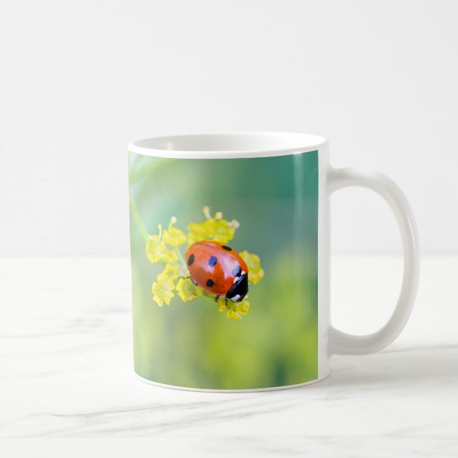 Taza De Café señora de arriba (Derecha)