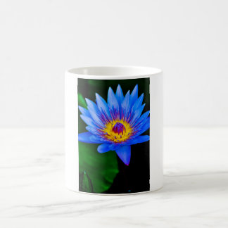 Taza De Café Serenidad