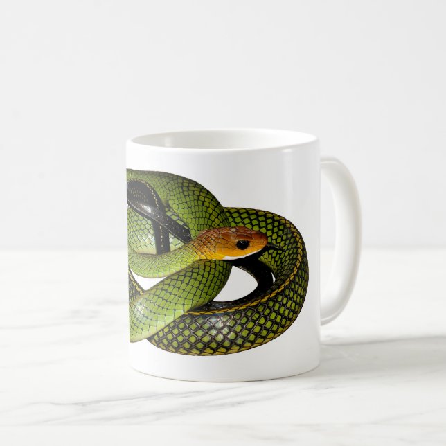 Taza De Café Serpiente de rata verde de Bush (Anverso derecho)