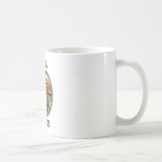 Taza De Café Setas salvajes de la morilla