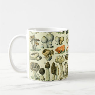 Taza De Café Setas y hongos de época #4 Café Mug