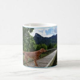 Taza De Café Séter de Irlanda
