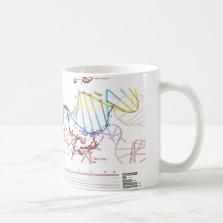 Taza De Café sgRNA y su DNA de la blanco