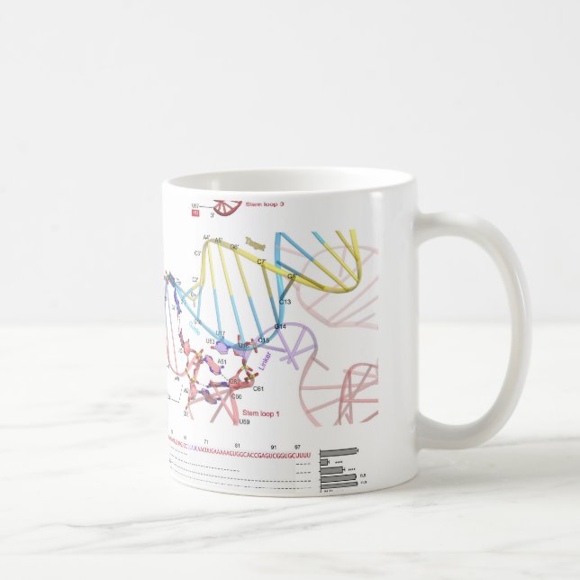 Taza De Café sgRNA y su DNA de la blanco (Derecha)