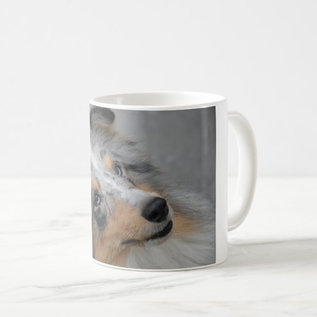Taza De Café Shetland Sheepdog Azul Tri (Anverso derecho)