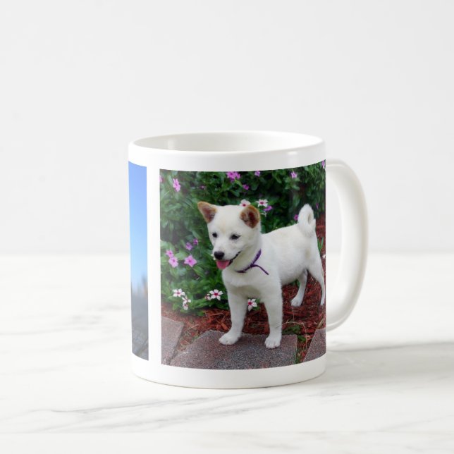 Taza De Café Shiba-inu Maru (Anverso derecho)