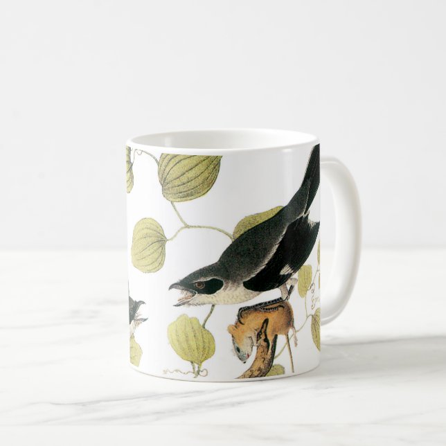 Taza De Café Shrike de Loggerhead por Audubon (Anverso derecho)