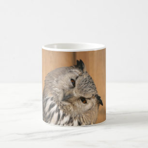 Taza De Café Sibiricus del bubón del bubón