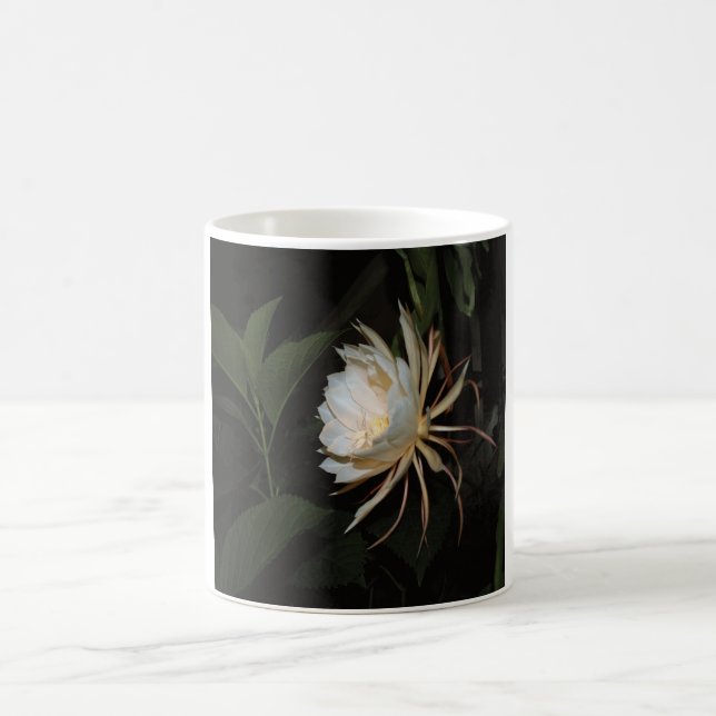 Taza De Café sideview del cirio de floración de noche (Centro)