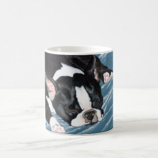 Taza De Café Siesta de Boston Terrier