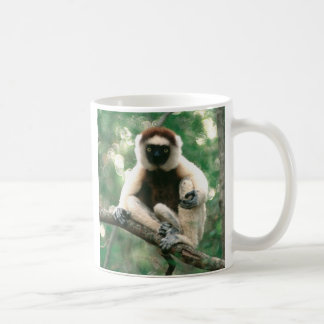 Taza De Café Sifaka
