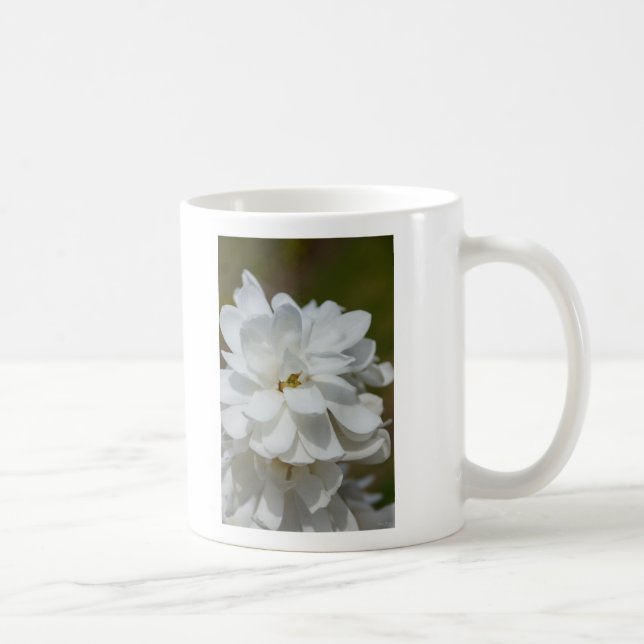 Taza De Café Silky Magnolia (Derecha)