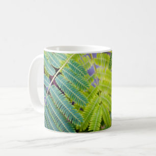 Taza De Café Simétrico