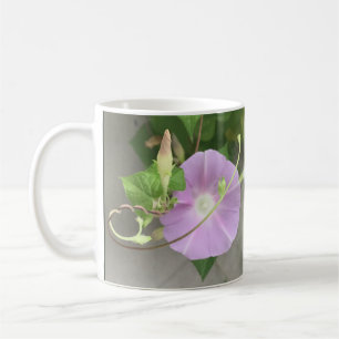Taza De Café Sinfonía Rosa Gloria de la Mañana