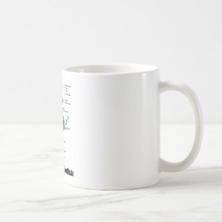 Taza De Café Síntesis de la proteína del equipo (biología)
