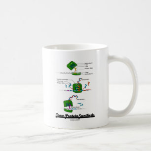 Taza De Café Síntesis de proteína de equipo