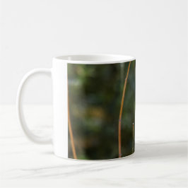 Taza De Café Skimmer Dragonfly de viuda masculina