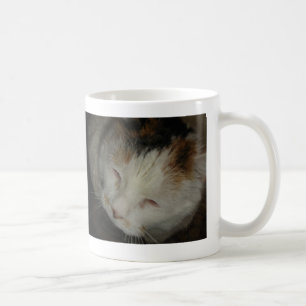 Taza De Café Sleepy Calico Cat