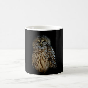 Taza De Café Sleepy Owl Mug