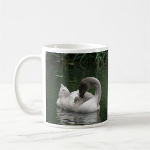 Taza De Café Sleepy Swan Mug