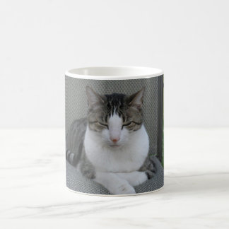 Taza De Café slyvester